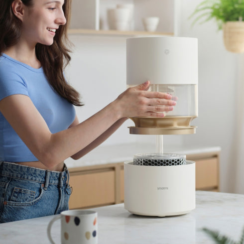 Rainforest Humidifier